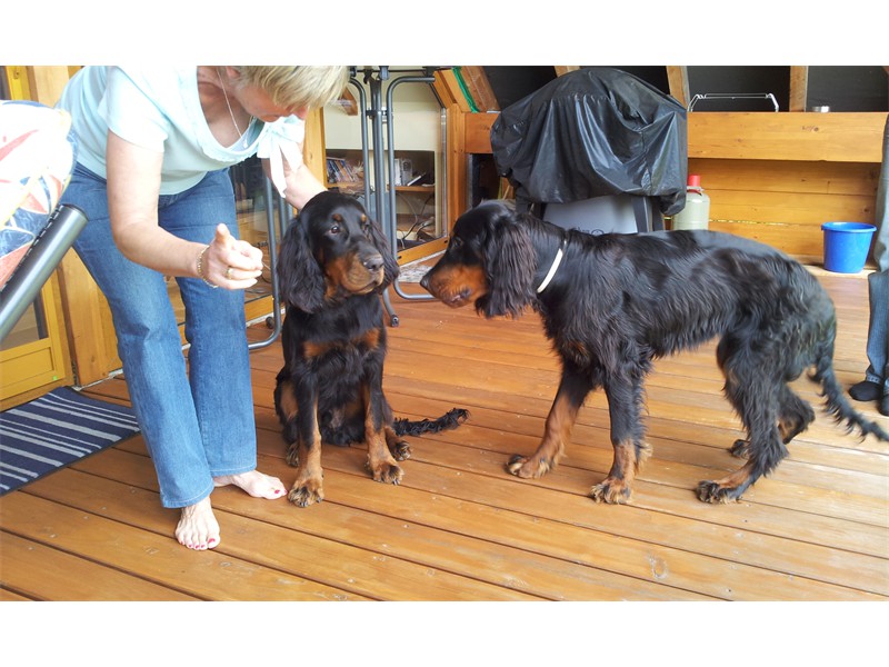 Wiedersehen mit Bruder Russel-