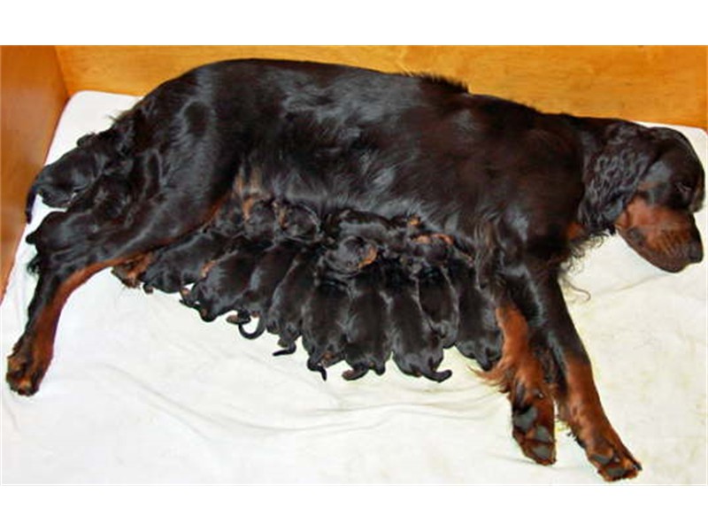 Mama Päivi mit ihren 12 Kindern