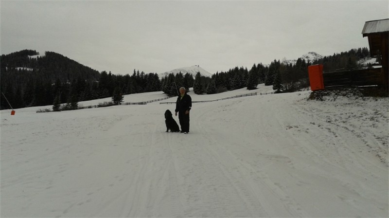20141217_135541