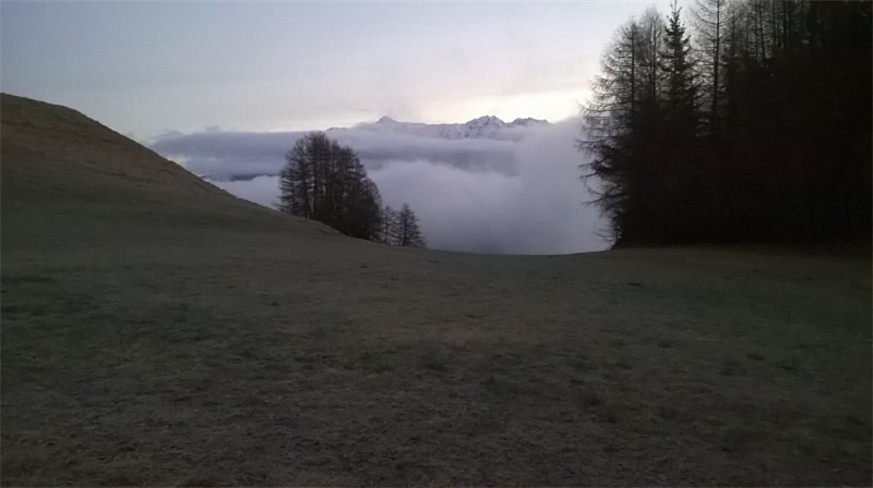 WP_20141217_07_41_21_Pro