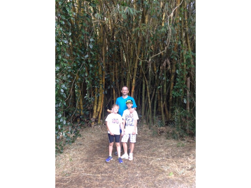IMG-20151220-WA0014