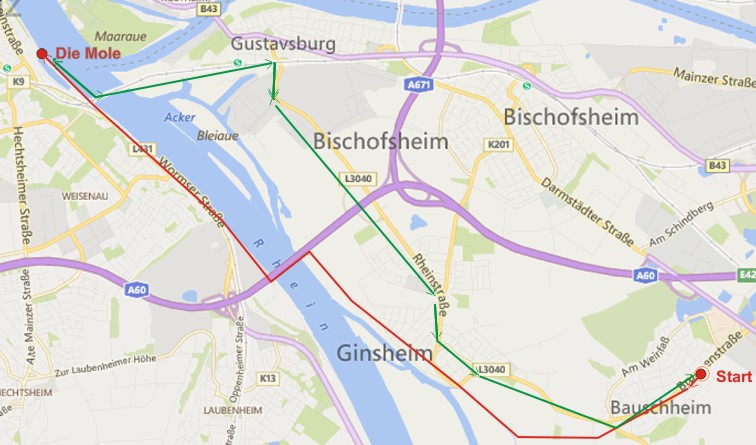 Radtour Bauschheim zur Mole Mainz